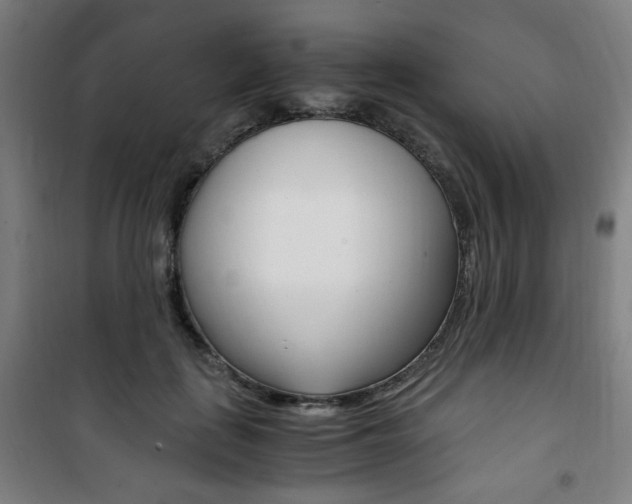 X0000101710651200807101409