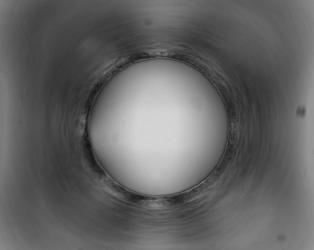 X0000101710652200807101409