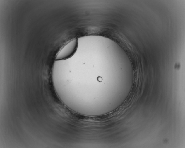 X0000101710655200807101410