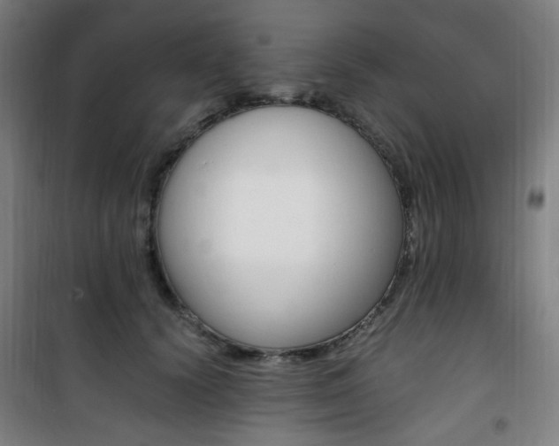 X0000101710656200807101410