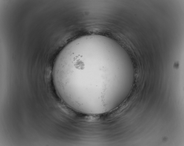 X0000101710660200807101410