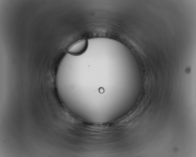 X0000101710661200807101410