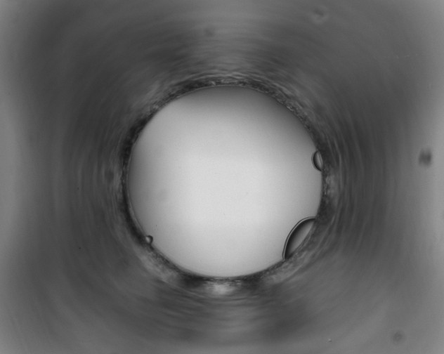 X0000101710662200807101410