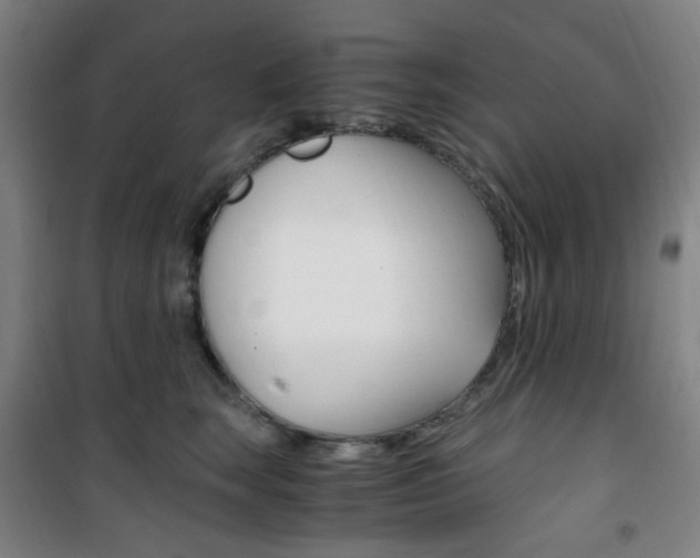 X0000101710663200807101410