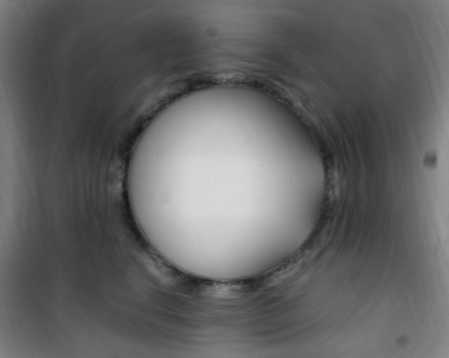 X0000101710664200807101410