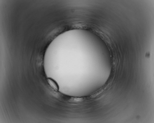 X0000101710665200807101410