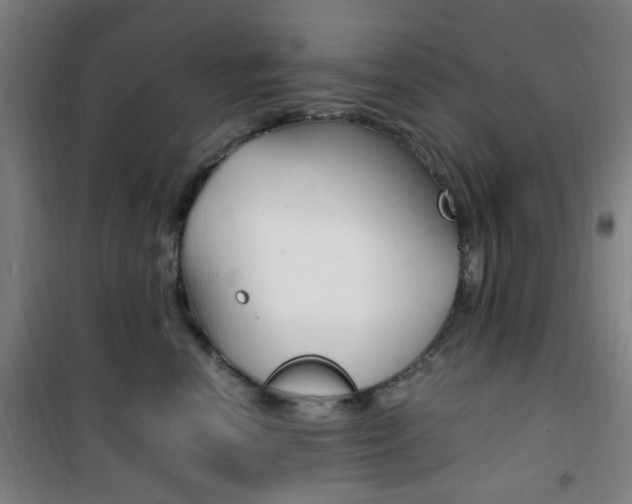 X0000101710666200807101410