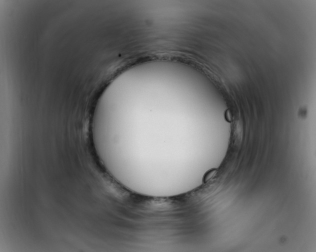 X0000101710668200807101410