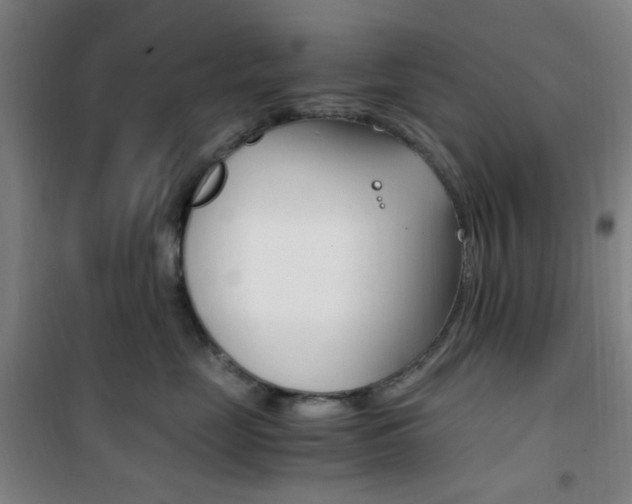 X0000101710669200807101410