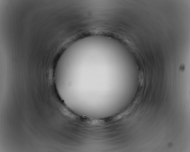 X0000101710670200807101410