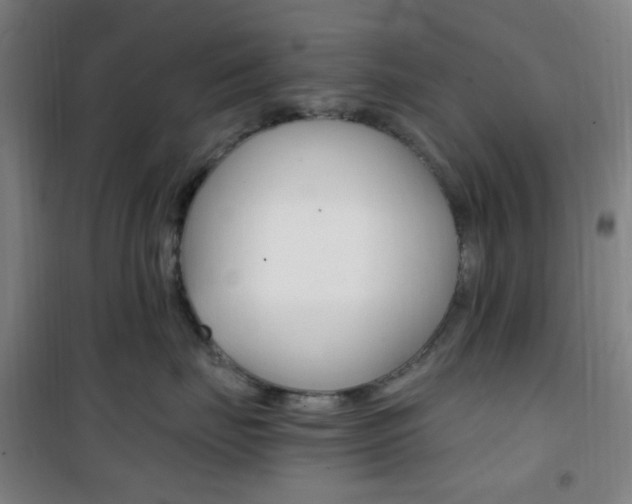 X0000101710671200807101410