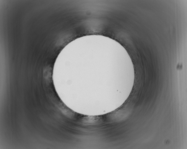 X0000101710672200807101410