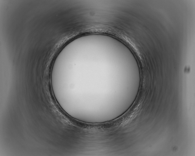 X0000101710673200807101409