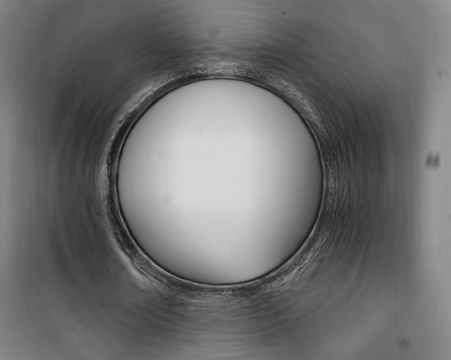 X0000101710674200807101409