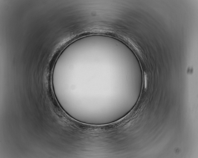 X0000101710675200807101409