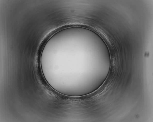 X0000101710676200807101409