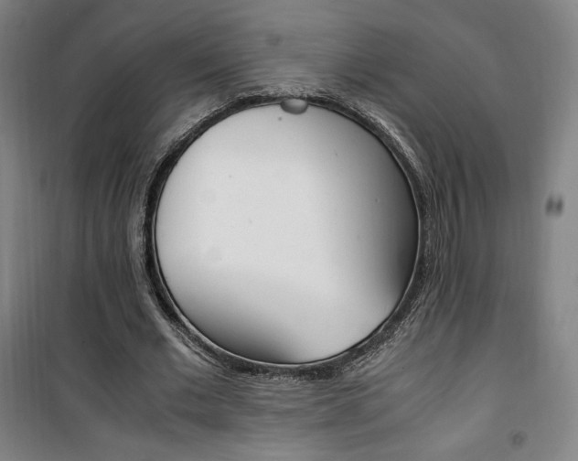 X0000101710677200807101409