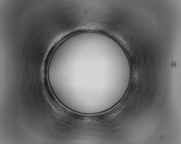 X0000101710678200807101409