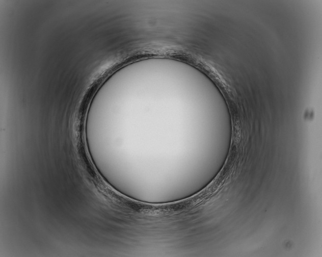 X0000101710679200807101409