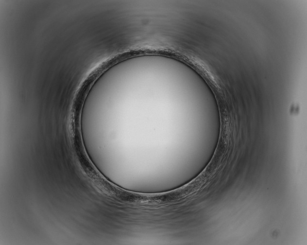 X0000101710680200807101409