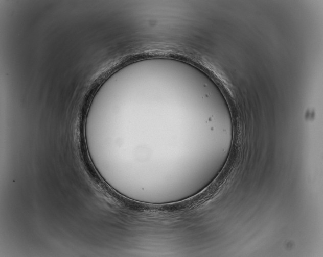X0000101710681200807101409