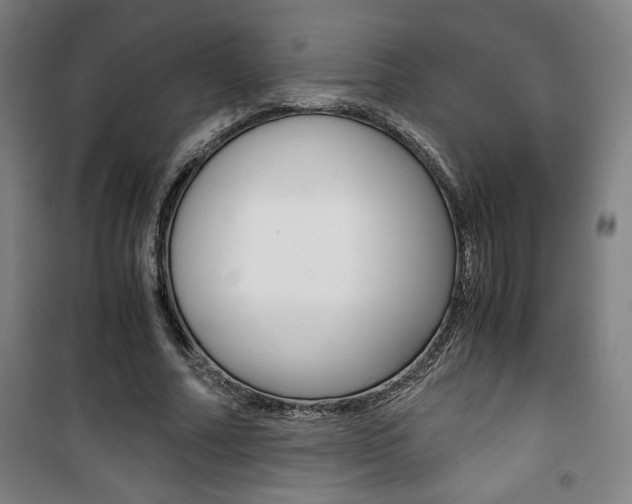 X0000101710682200807101409