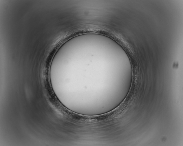 X0000101710683200807101409