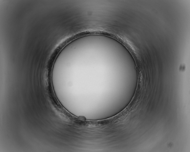 X0000101710684200807101409