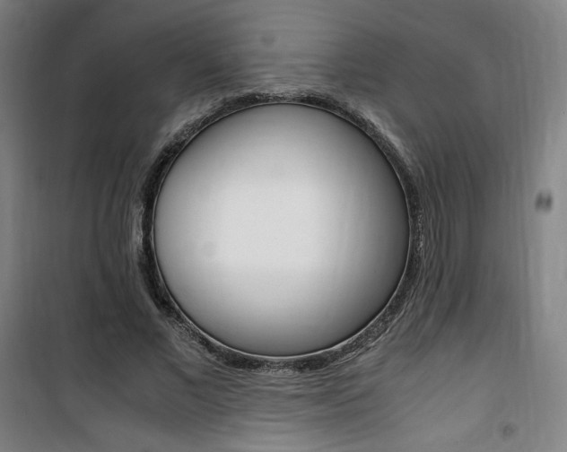 X0000101710685200807101409