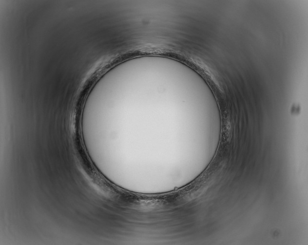 X0000101710686200807101409