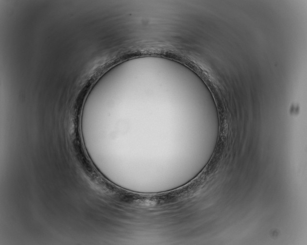 X0000101710687200807101409