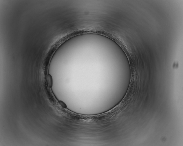 X0000101710688200807101409