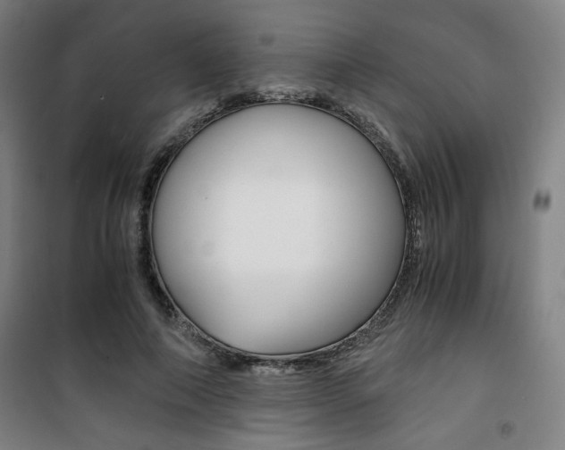 X0000101710690200807101409