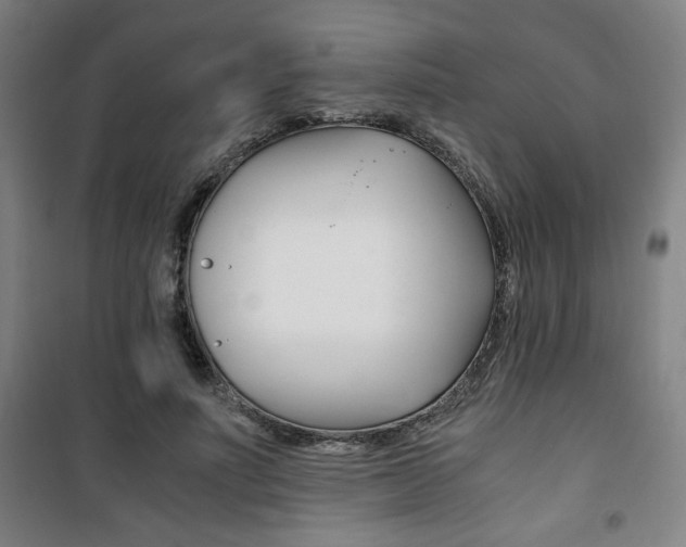 X0000101710691200807101409