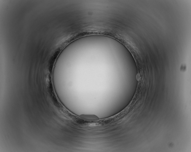 X0000101710692200807101409