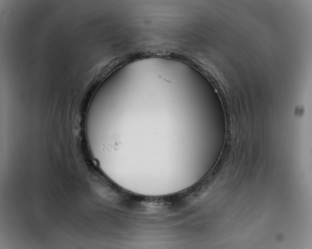 X0000101710693200807101409