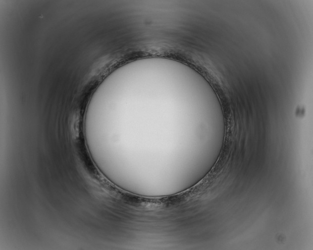 X0000101710694200807101409