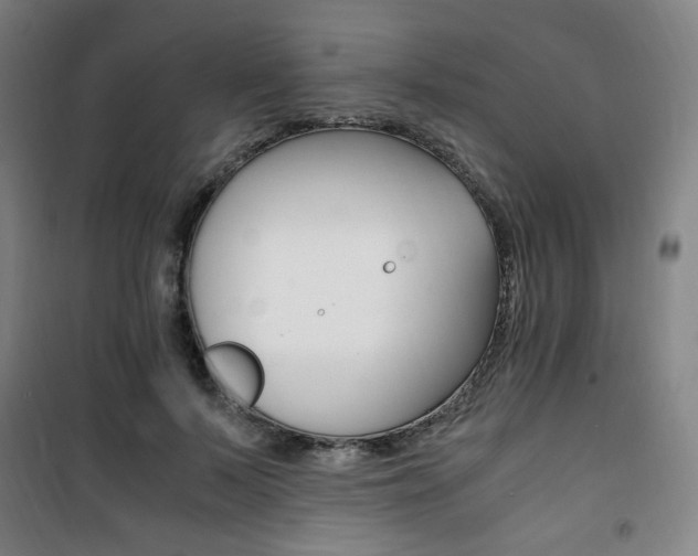 X0000101710695200807101408