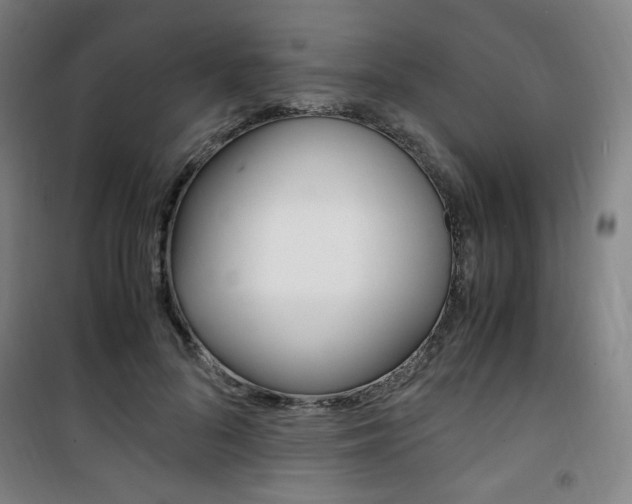 X0000101710696200807101408