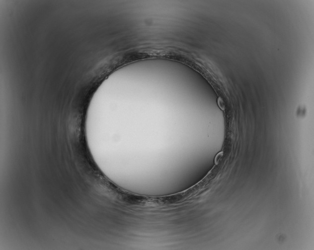 X0000101710697200807101408