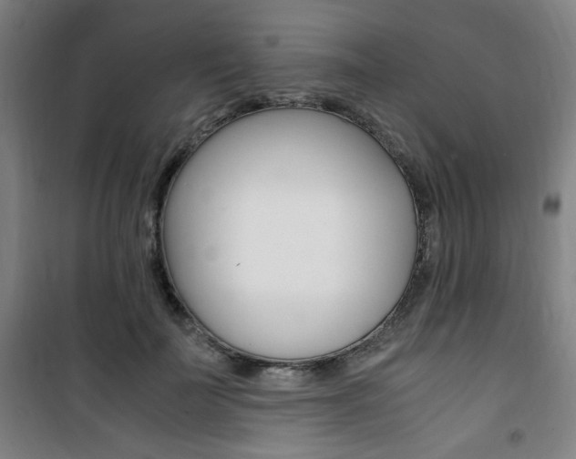 X0000101710699200807101408