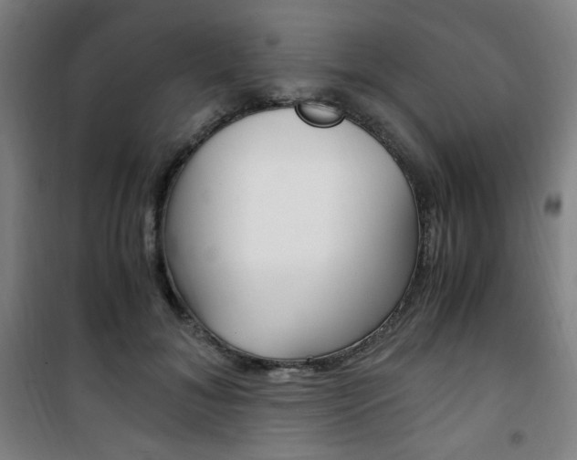 X0000101710700200807101408