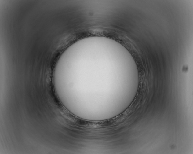 X0000101710702200807101408