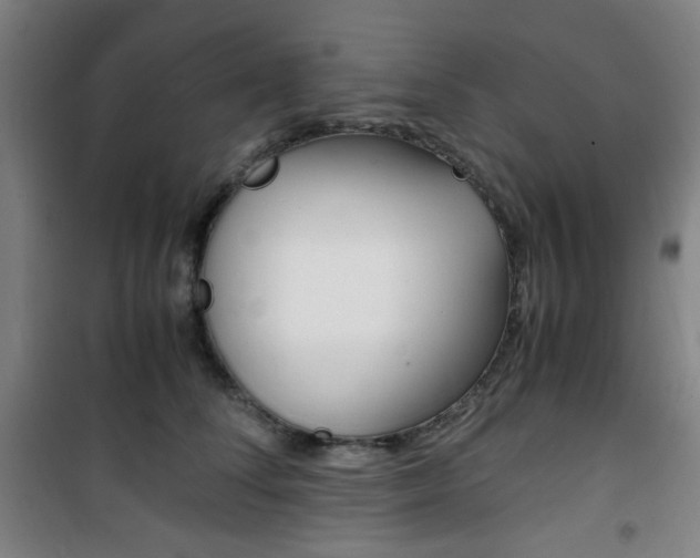 X0000101710708200807101408