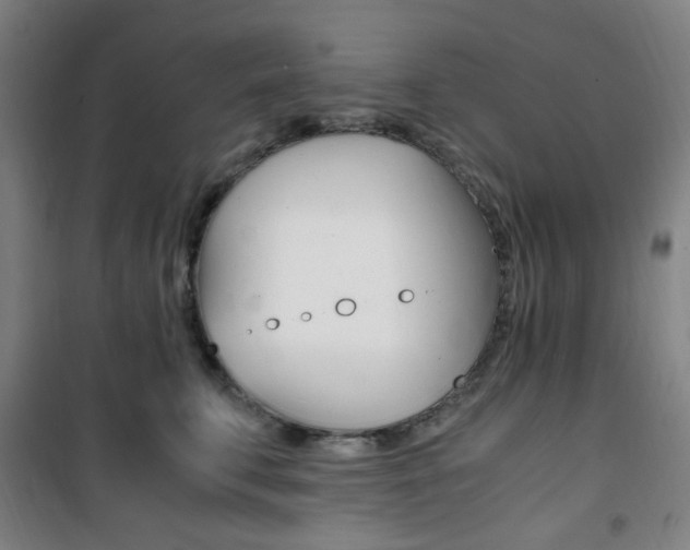 X0000101710711200807101408