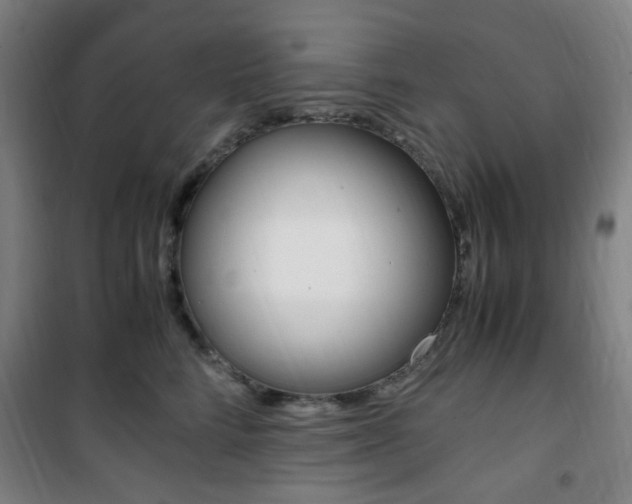 X0000101710712200807101408