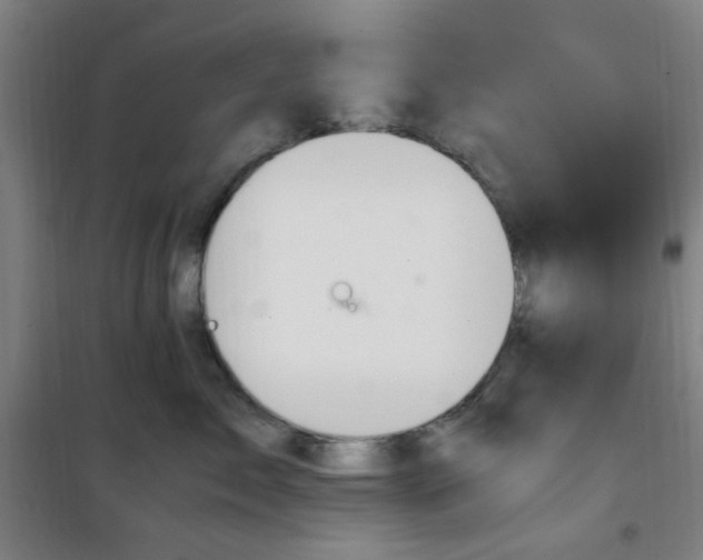 X0000101710717200807101408