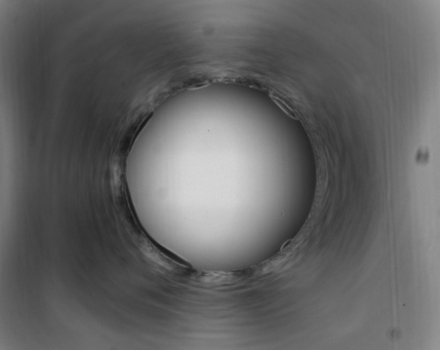 X0000101710720200807101408