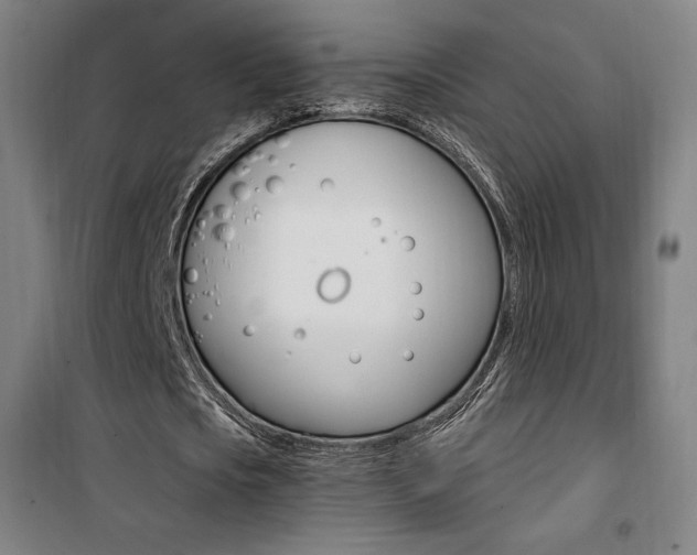 X0000101710721200807101407