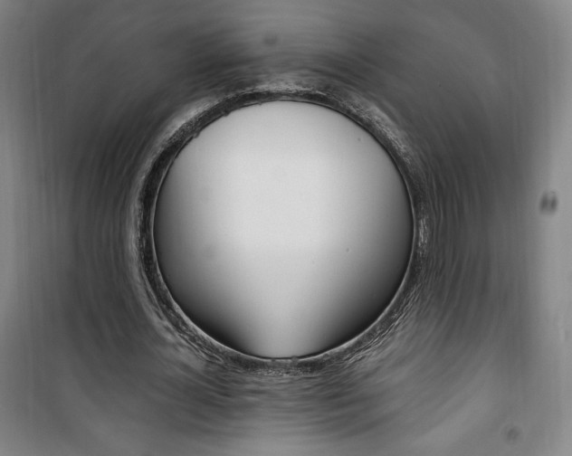 X0000101710724200807101407